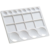 20 Well Plastic Palette