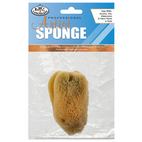 Sea Sponge #2004