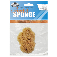 Sea Sponge #2006