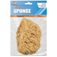 Sea Sponge #2008