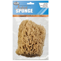 Sea Sponge #2020