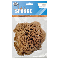 Sea Sponge #2030