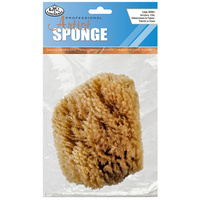 Sea Sponge #2040