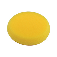 Small Synthetic Sponge