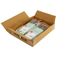 Canvaa Taklon Aqua Wooden Handle Classroom Set of 50 (2 Round, 3 Flat)