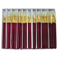 Bristle Brush Classroom Set SVB5-120                                            