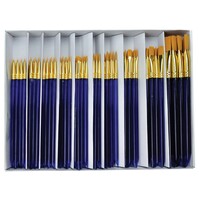 Taklon Brush Classroom Set SVT7-120                                           