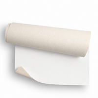 Phoenix Mini Primed Canvas Roll 350gm 12'x5m (10oz)