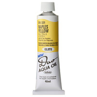 Holbein Duo Aqua Oil Colour - Naples Yellow
