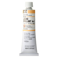 Holbein Artist Oil Paint 40ml - A-H234 Jaune Brillant #2                                                    