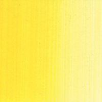 Holbein Academic Oil Colours - Cad Yellow Light
