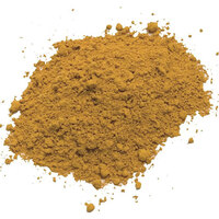 RGM Pigments 100ml - Yellow Earth