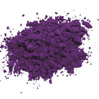 RGM Pigments 100ml - Violet Lacquer