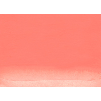 Nicker Poster Colour 40ml - #006 Coral