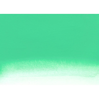 Nicker Poster Colour 40ml - #033 Emerald Green