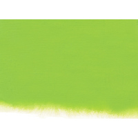 Nicker Poster Colour 40ml - #035 Chrome Green 1