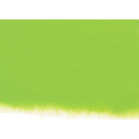 Nicker Poster Colour 40ml - #35 Chrome Green 1
