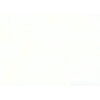 Nicker Poster Colour 40ml - #051 White
