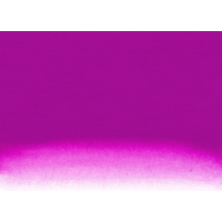 Nicker Poster Colour 40ml - #117 Pale Violet