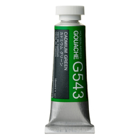 Holbein Artist Designer Gouache - Ccadmium Green G543                                                      
