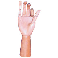 NAM Hand Manikin