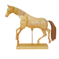 NAM Horse Manikin