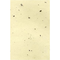 Chiri #3 - Cream 60gm