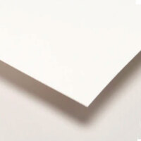 Crescent #310 Illustration Board CP
