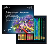 Mungyo Gallery Watercolour Crayons - Set 12