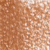 Holbein Coloured Pencil - Brown #99                                                                       