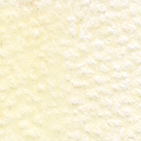 Holbein Coloured Pencil - Ivory #116                                                                      