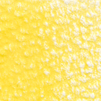 Holbein Coloured Pencil - Naples Yellow #134                                                              
