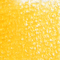 Holbein Coloured Pencil - Marigold #142                                                                   
