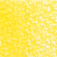 Holbein Coloured Pencil - Sunflower #143                                                                  