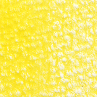 Holbein Coloured Pencil - Dandelion #145                                                                  