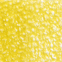Holbein Coloured Pencil - Mustard #165                                                                    