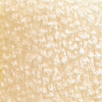 Holbein Coloured Pencil - Cork #171                                                                       