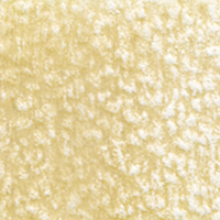 Holbein Coloured Pencil - Beige #173                                                                      