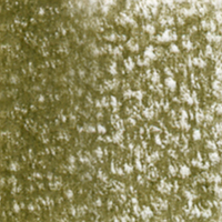 Holbein Coloured Pencil - Olive Drab #187                                                                 