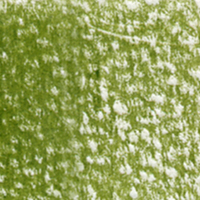 Holbein Coloured Pencil - Olive Green #189                                                                