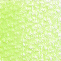 Holbein Coloured Pencil - Lettuce Green #222                                                              