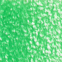 Holbein Coloured Pencil - Emerald Green #235                                                              