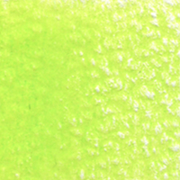 Holbein Coloured Pencil - Spring Green #242                                                               