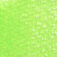 Holbein Coloured Pencil - Fresh Green #243                                                                