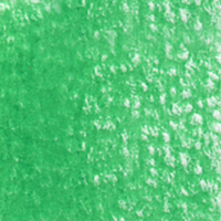 Holbein Coloured Pencil - Summer Green #245                                                               