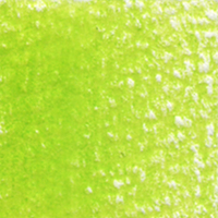 Holbein Coloured Pencil - Apple Green #251                                                                