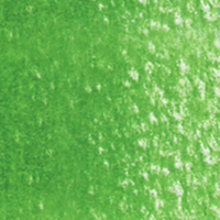 Holbein Coloured Pencil - Evergreen #254                                                                  