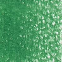 Holbein Coloured Pencil - Malachite Green #255                                                            