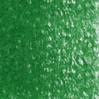 Holbein Coloured Pencil - Holly Green #264                                                                