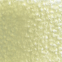 Holbein Coloured Pencil - Willow Green #270                                                               